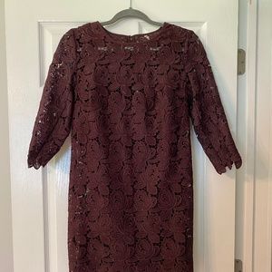 Ann Taylor Loft Lace Shift Dress